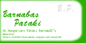 barnabas pataki business card